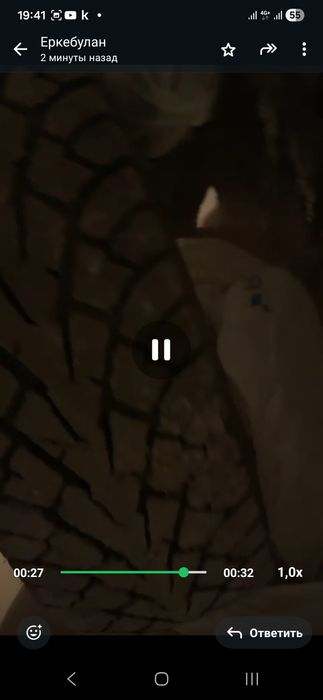 Зимния шипованая резина