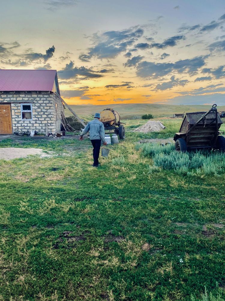 Крестьянское хозяйство