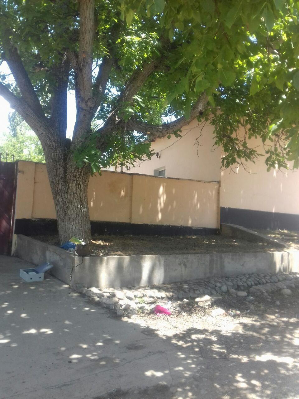Продаётся чарвак  дача  бостонил