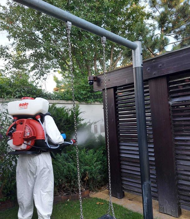 Oferim servicii Dezinsectie si Deratizare in Bucuresti si Ilfov