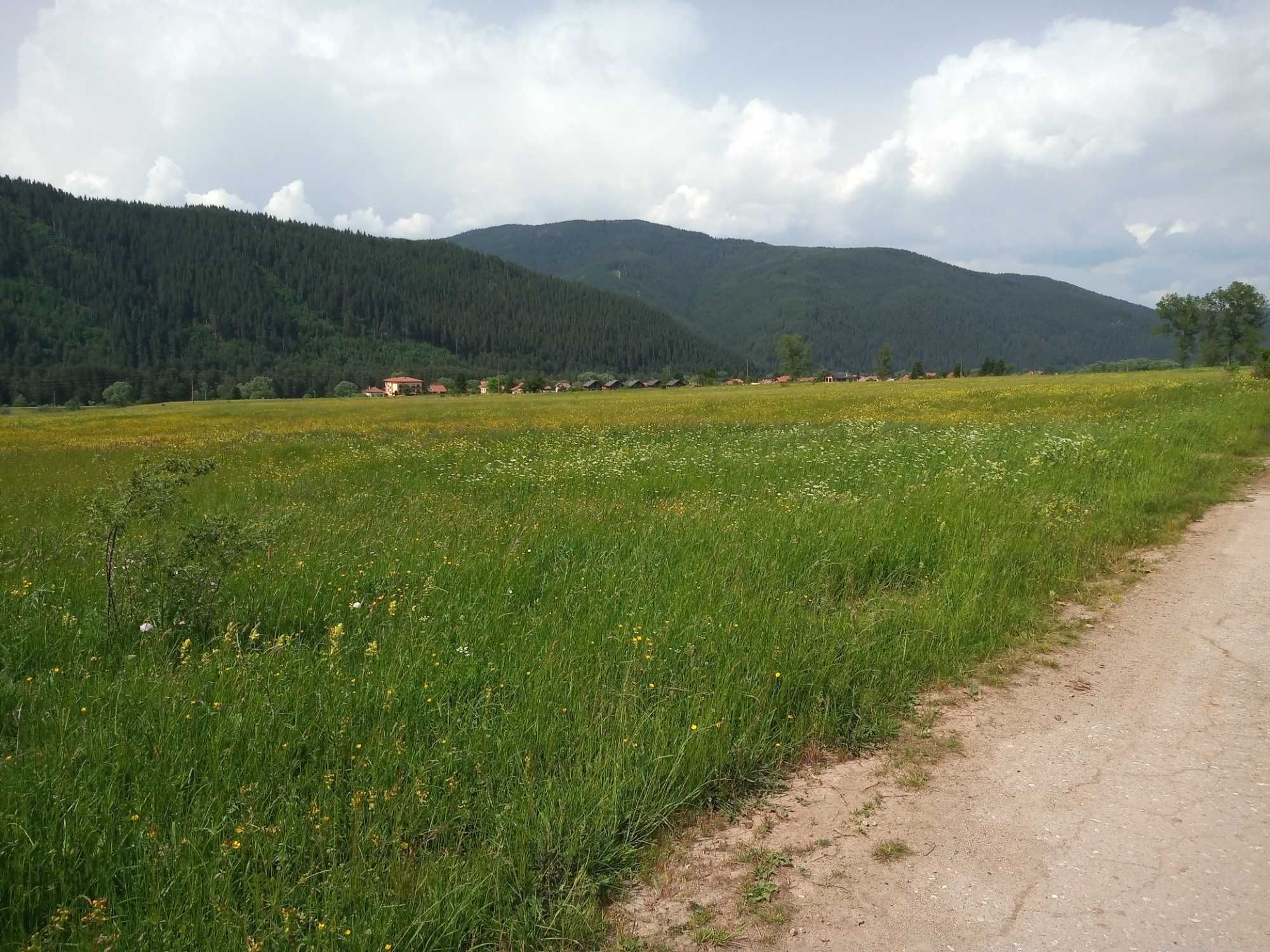 Земя в планински район - село Говедарци