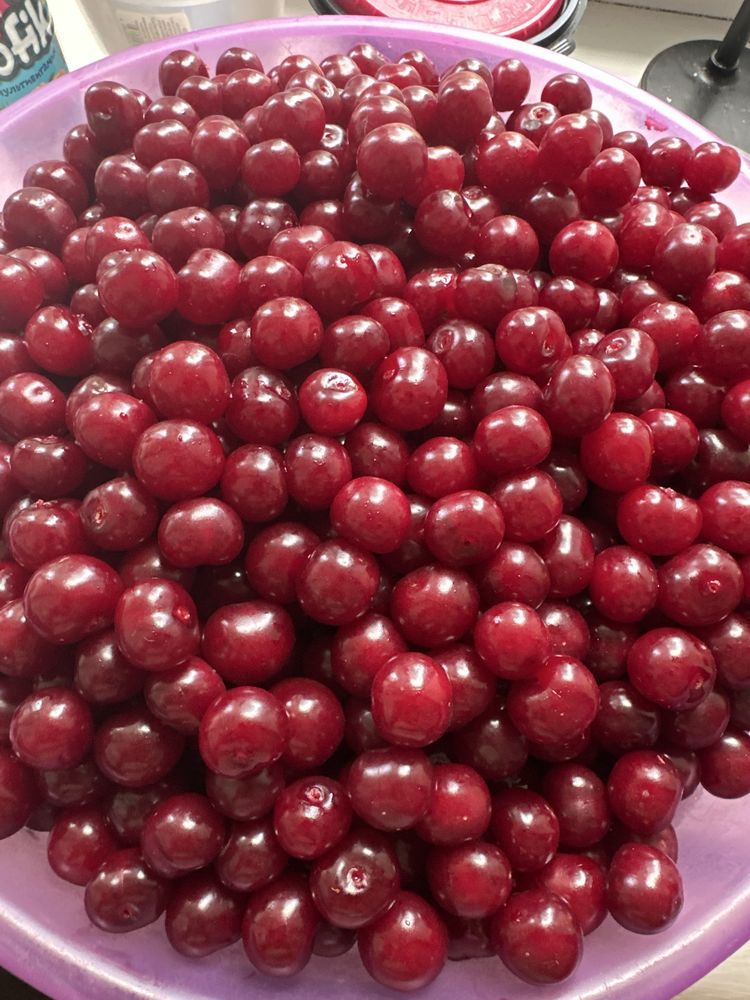 Продам вишню 6л 4500