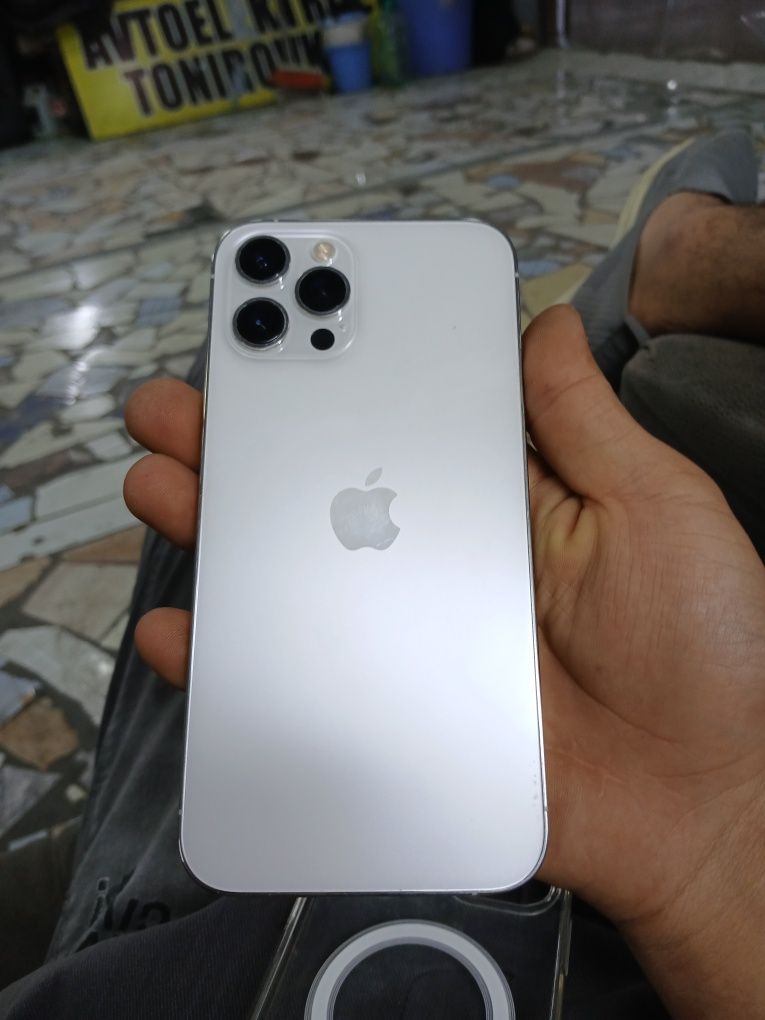 Apple 12 pro max