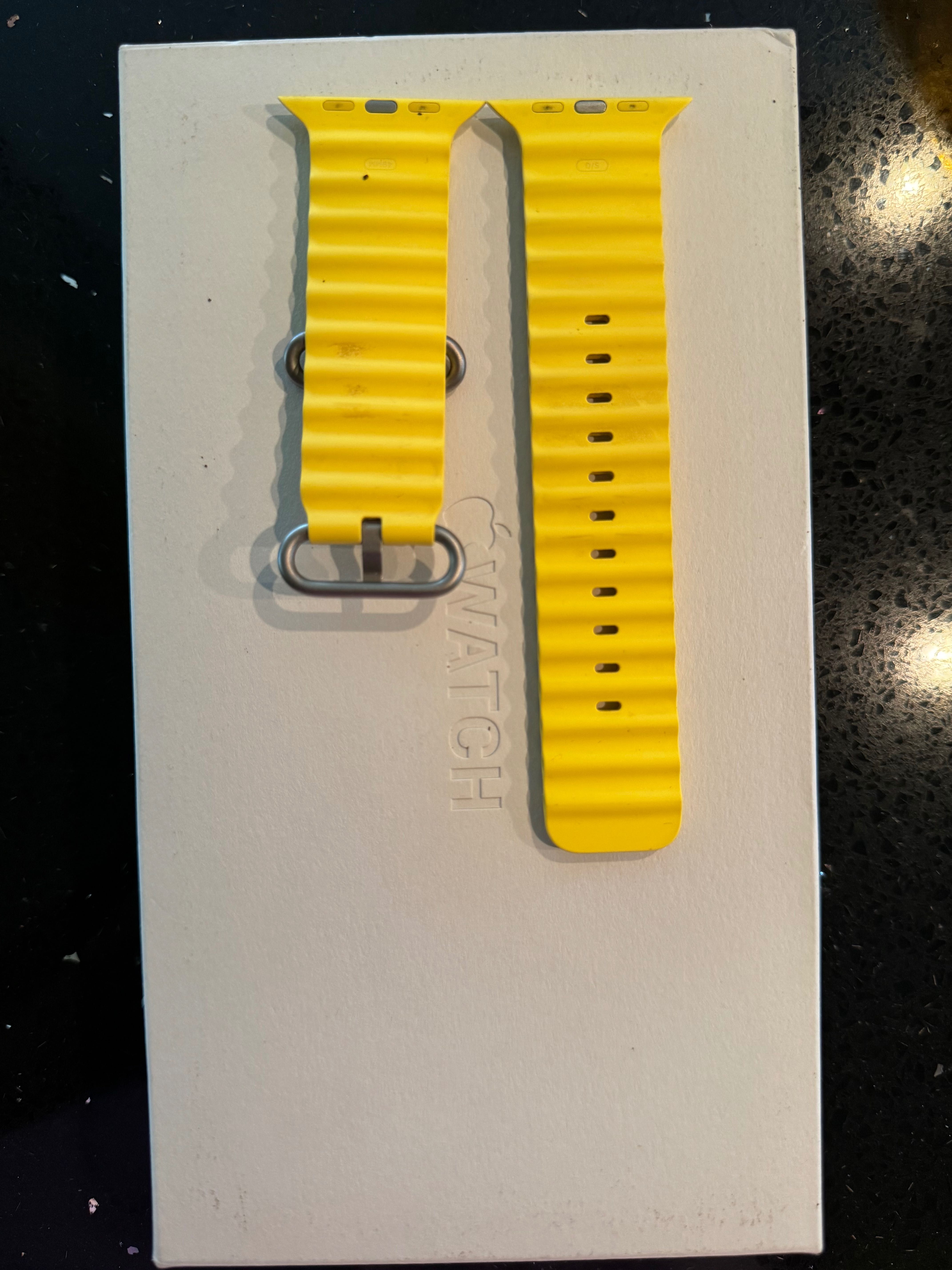 Apple Watch Ultra 49mm Titanium Case