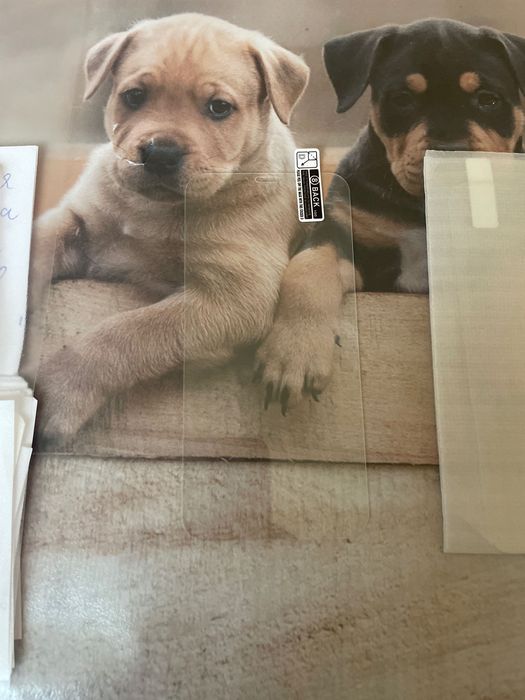 Протектор за IPhone XS (10S)