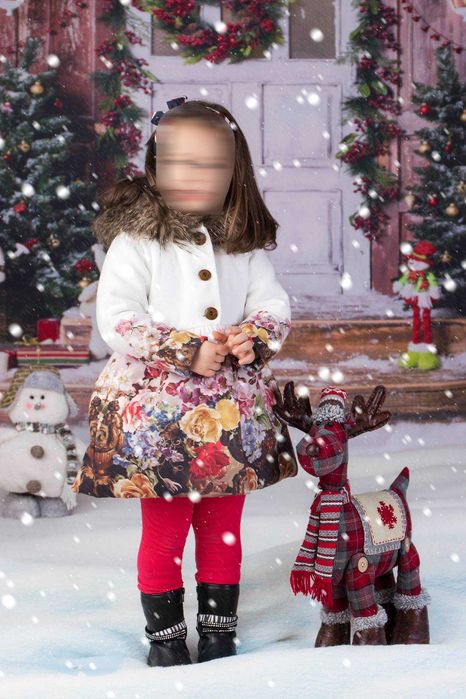 фотографски фонове за студио, коледна тема