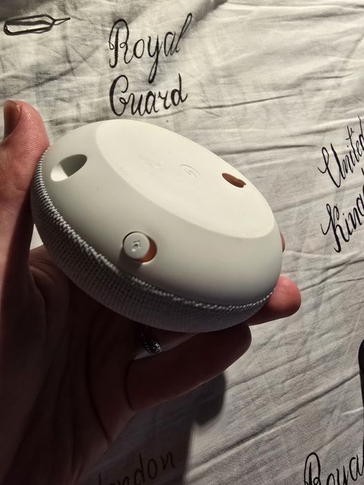 google nest mini 2 (H2C)
