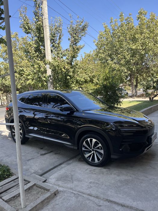 BYD Chimpiyon 23 24