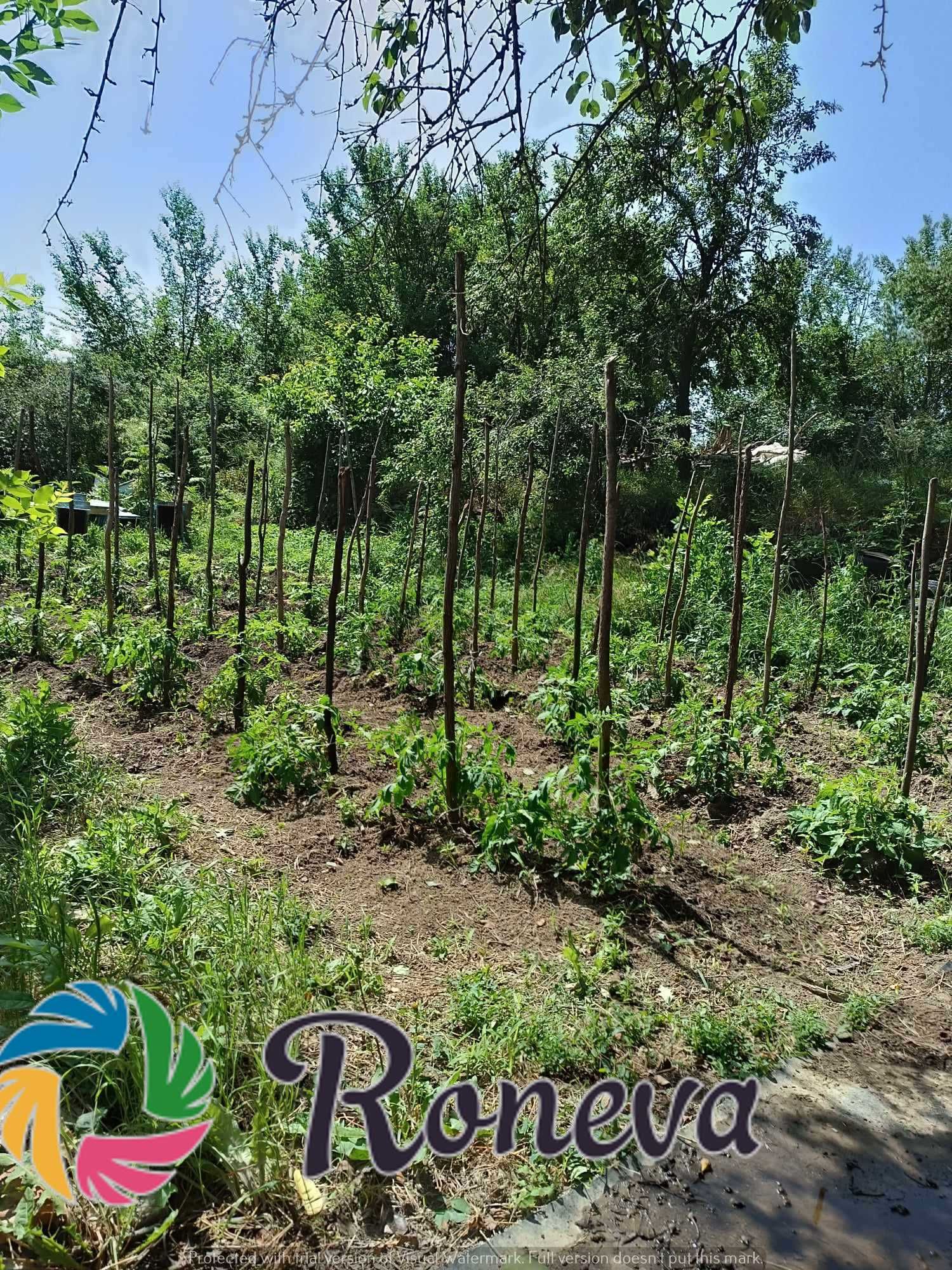 Дворно място с къща за ремонт