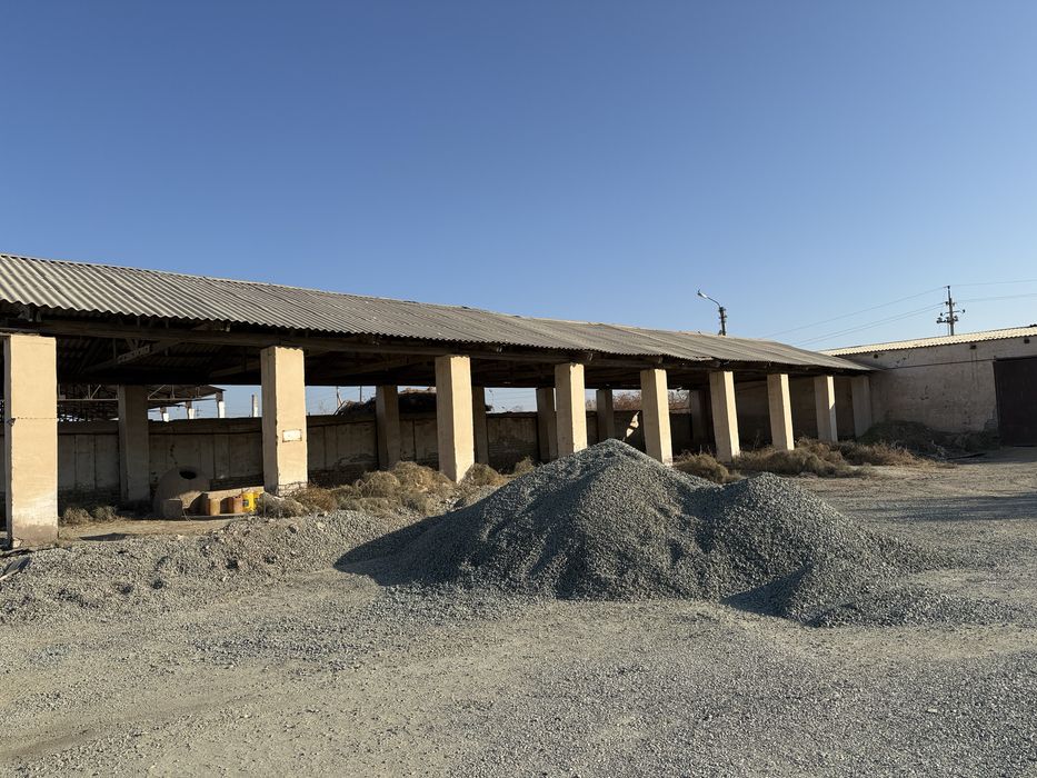 Кушкупир тумани шовот ёлда жой урни сотилади