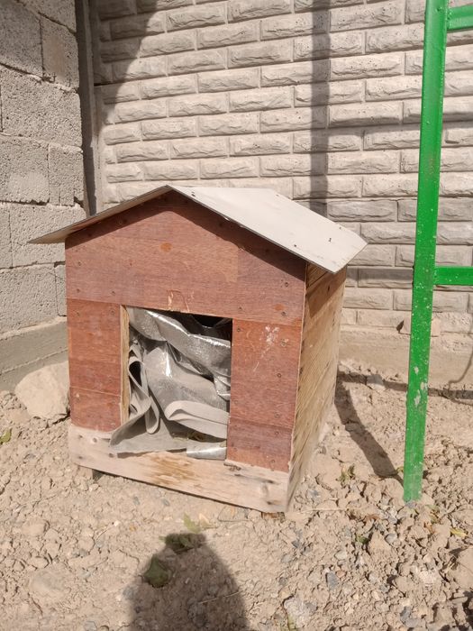 Итке арналған үйшік