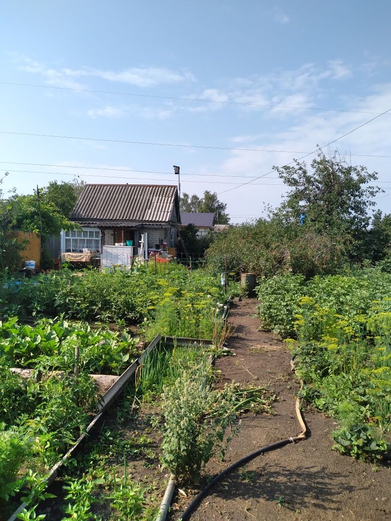 Продам дачу, садовое общество строитель