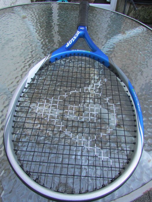 Тенис ракета Dunlop Biomimetic Team