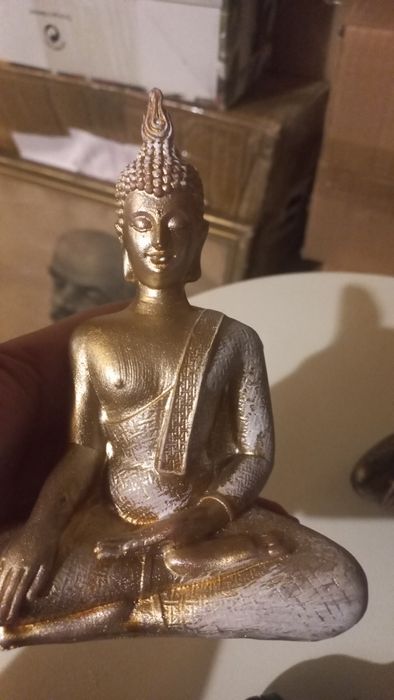 Буди от Холандия