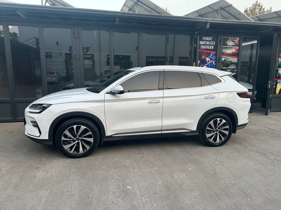 BVD song CHENPION 2023