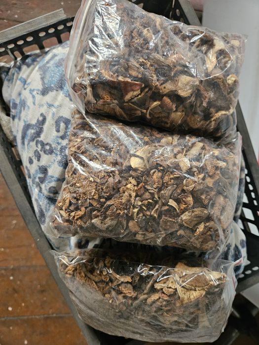 Грибы  сушёные  .редовки  под.топольник.