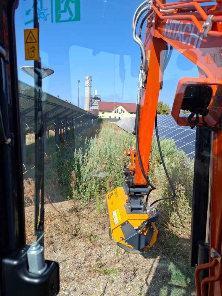 Servicii de Curățare / Defrișare terenuri cu tocător de vegetație