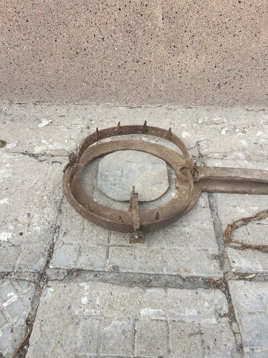 Голям капан за едър вреден дивеч