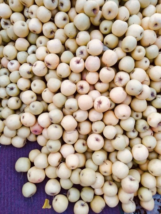 Продам яблоки 2,3 сорта