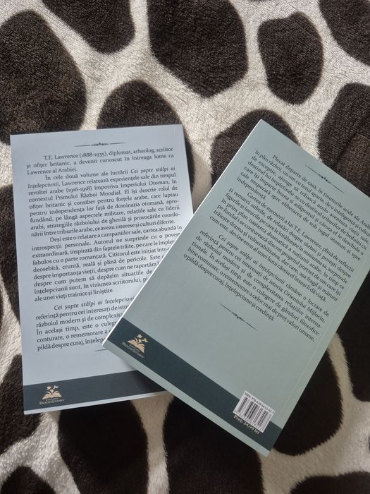 Cei 7 stâlpi ai înțelepciunii