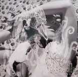 Bjork Vespertine грамофонна плоча