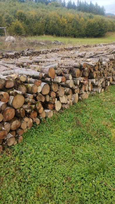 Vand lemne de foc fag