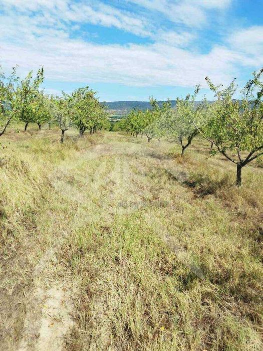 Парцел в село Страцин 73934