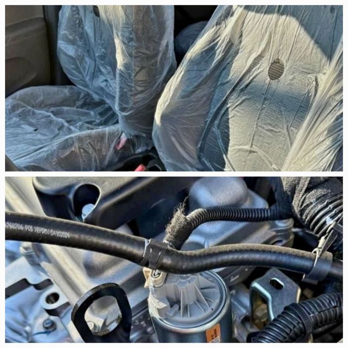 Coblt‼️Notarius Bonus‼️