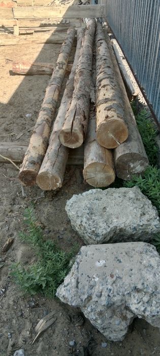 Ағаш соқа 6 шт 17000