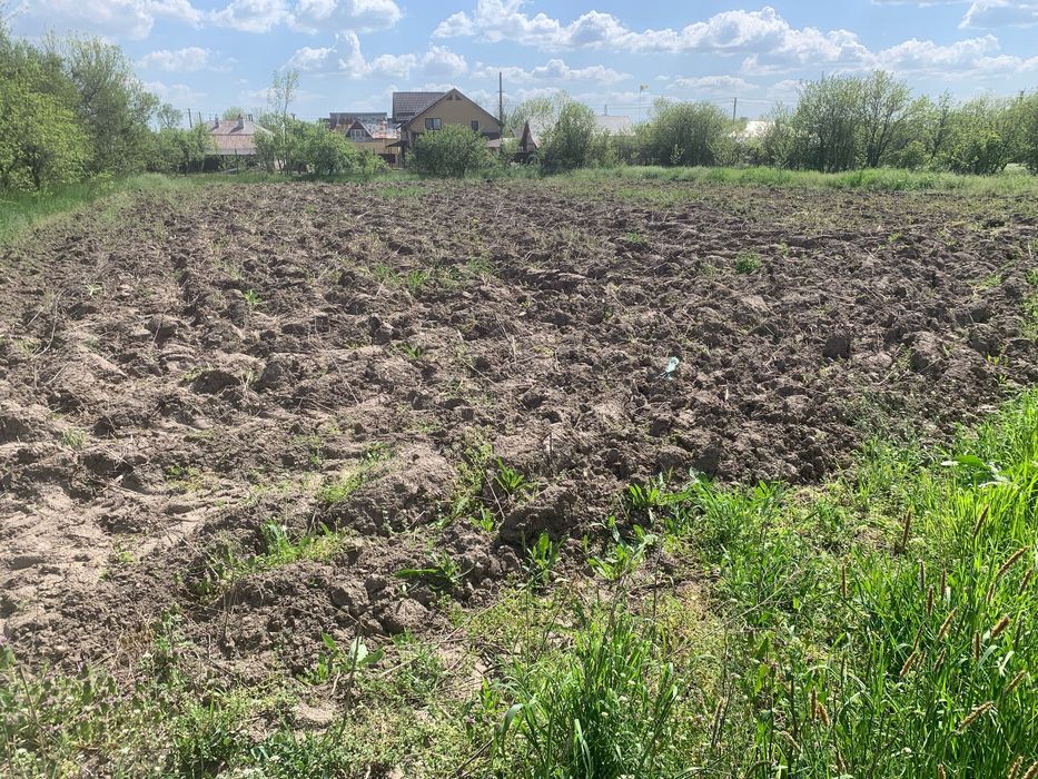 Gospodărie situată în Satul Strâmbeni, com. Căldăraru, jud. Argeș
