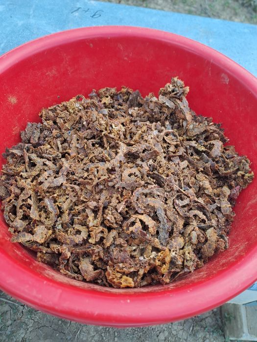Propolis producție 2025