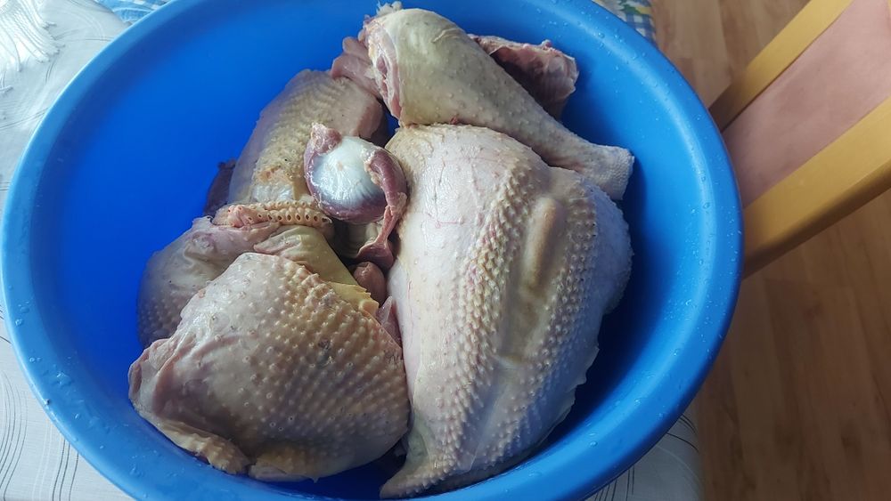 Curcani în viu sau carcasă