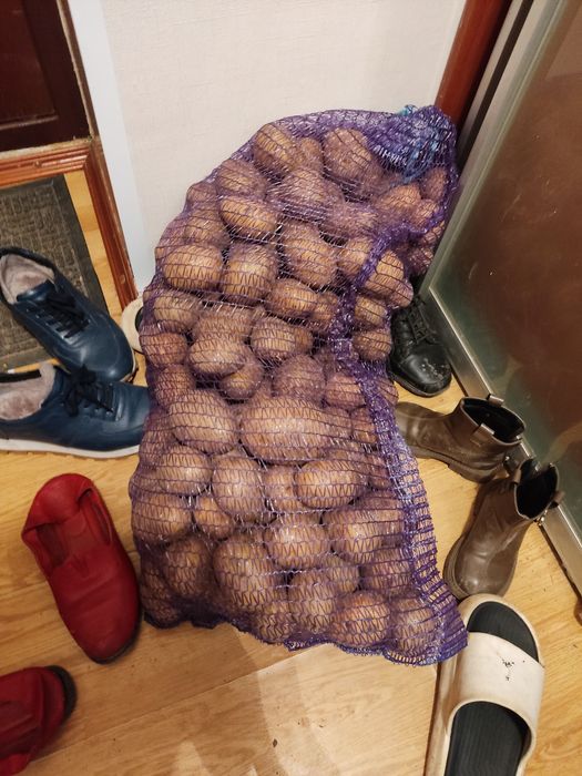 Кортошка местная