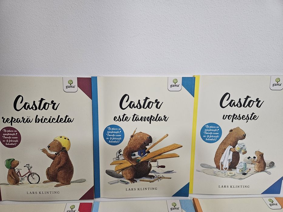 Set 6 cărți „Castor”