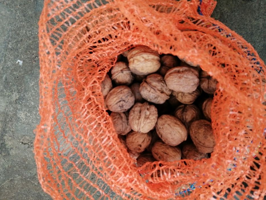 Vând 15 kg nuca în coaja