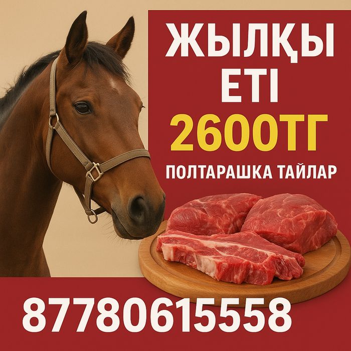 Соғым жылқы еті. Конина мясо.