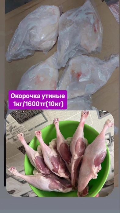 Окорочка утки Бесплатная доставка Костанай-Рудный