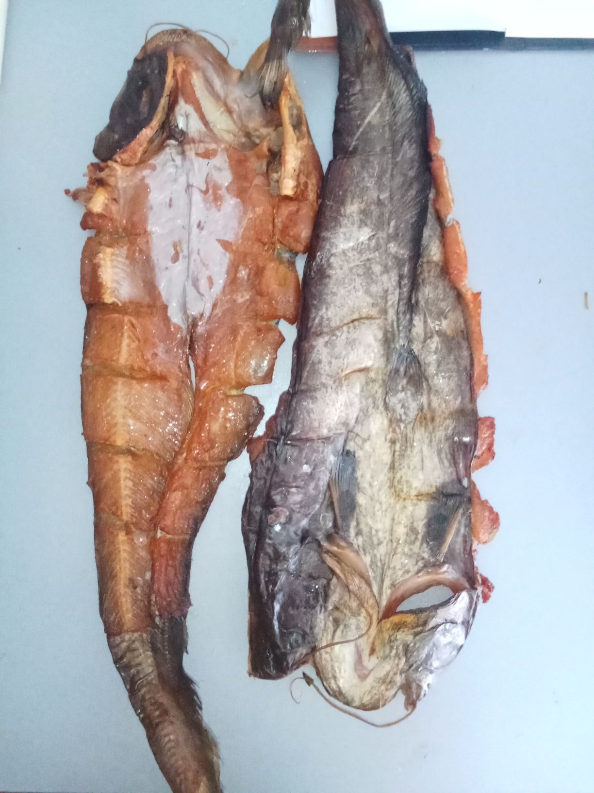 Копченная рыба Шардара жерих,сом,сазан