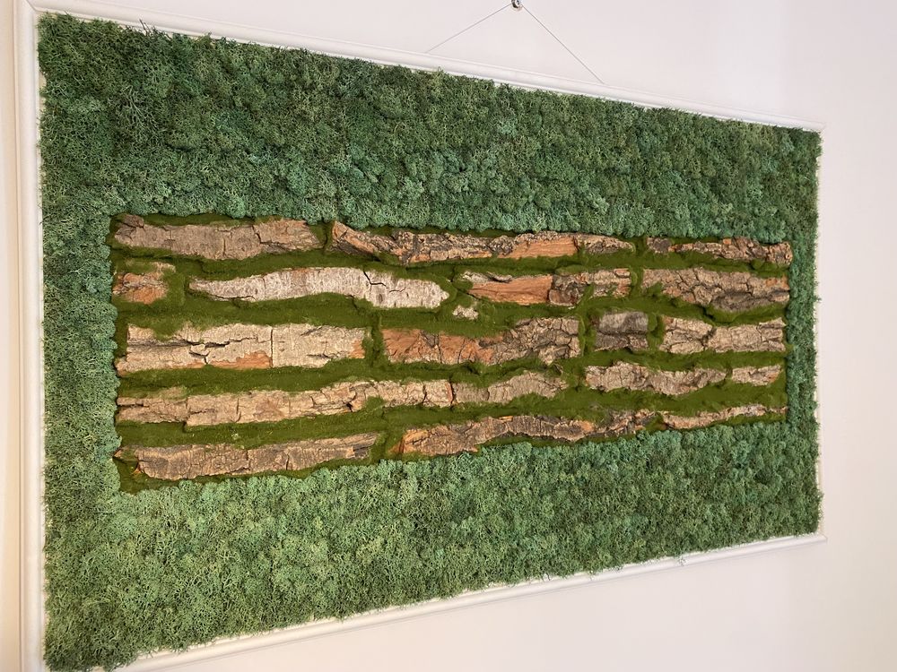 Tablou licheni scoarta naturala