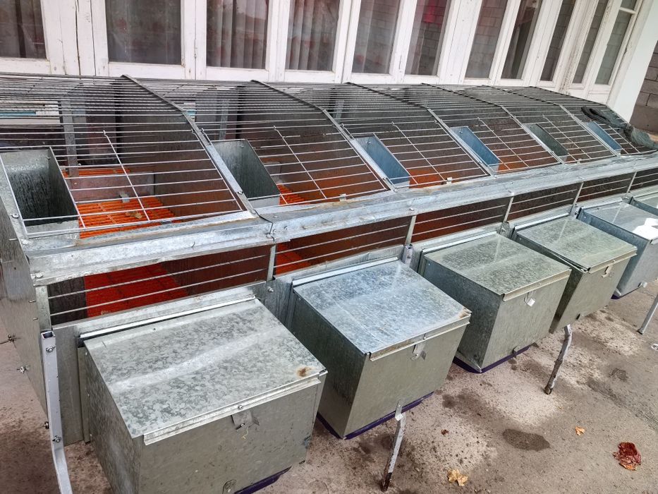 Пулкерак бопколди