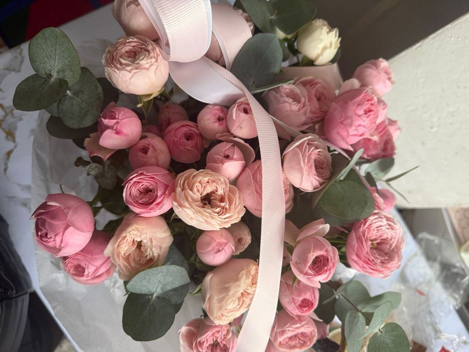 Пионы цветы красивые