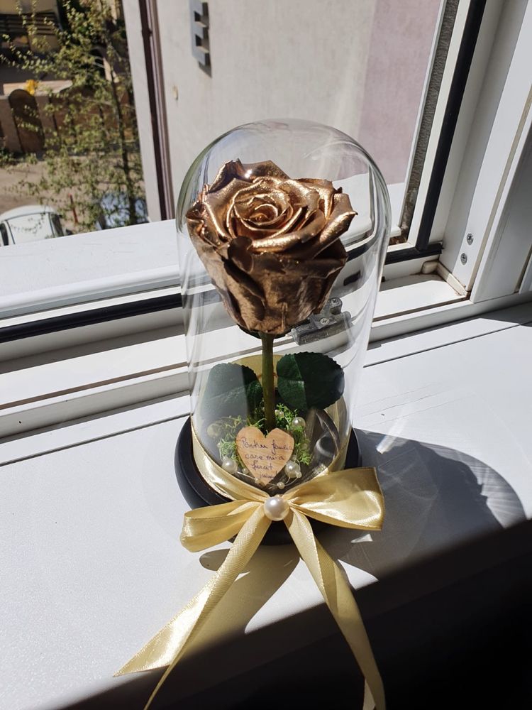 Cupola cu trandafir auriu cu inaltime de 20 cm 120 lei
