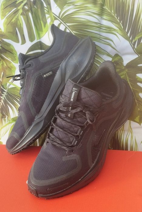 Nike Pegasus Gore-tex 40