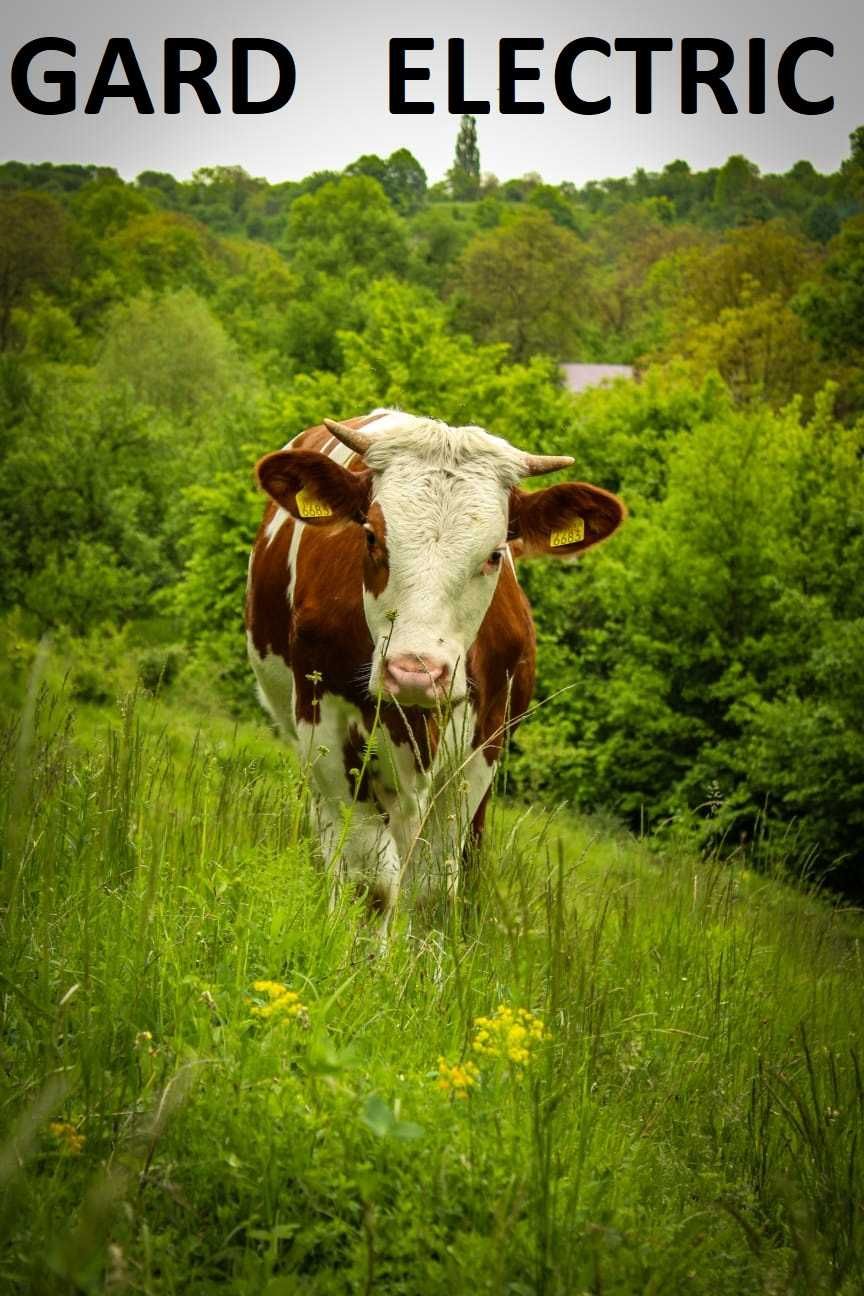 gard electric pentru animale salbatice urs porci mistret lupi