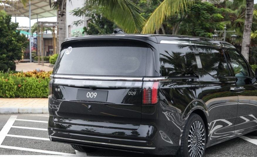 ZEEKR YOU 009 на заказ 2025 CIP Tashknet Быстро надежно Terra Auto