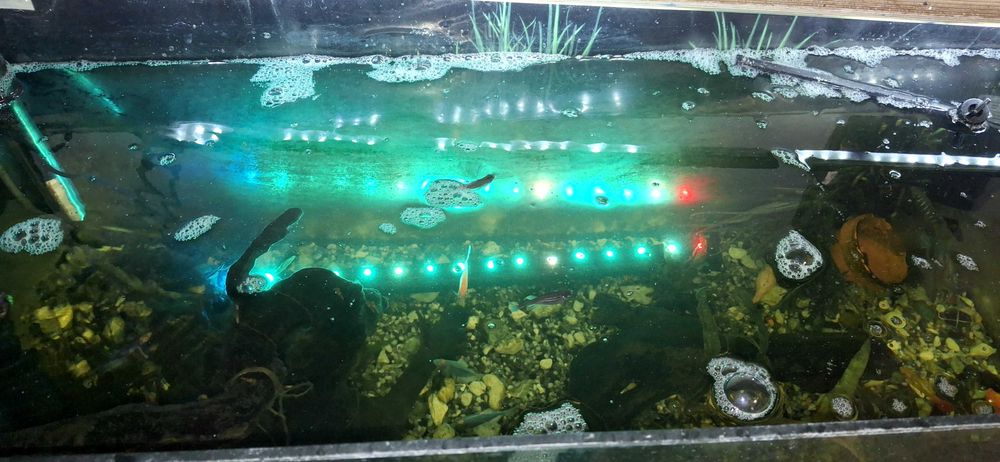 Acvariu 120 L cu mobilier complet echipat