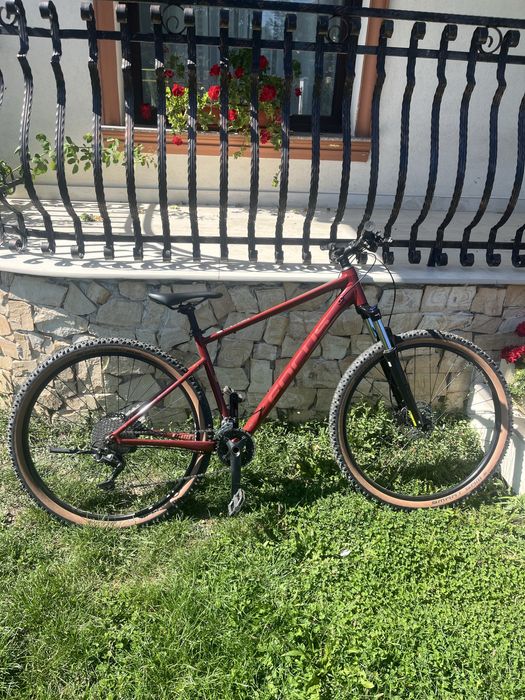 Focus whistler3.7