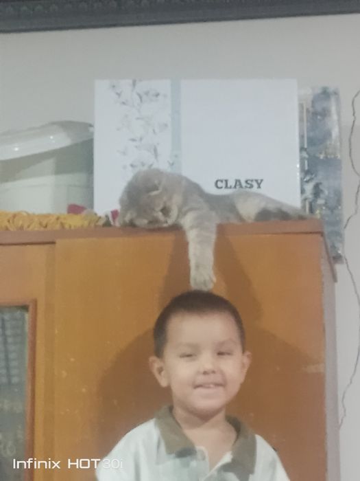 Sotiladi 1 yoshdan oshgan 500min