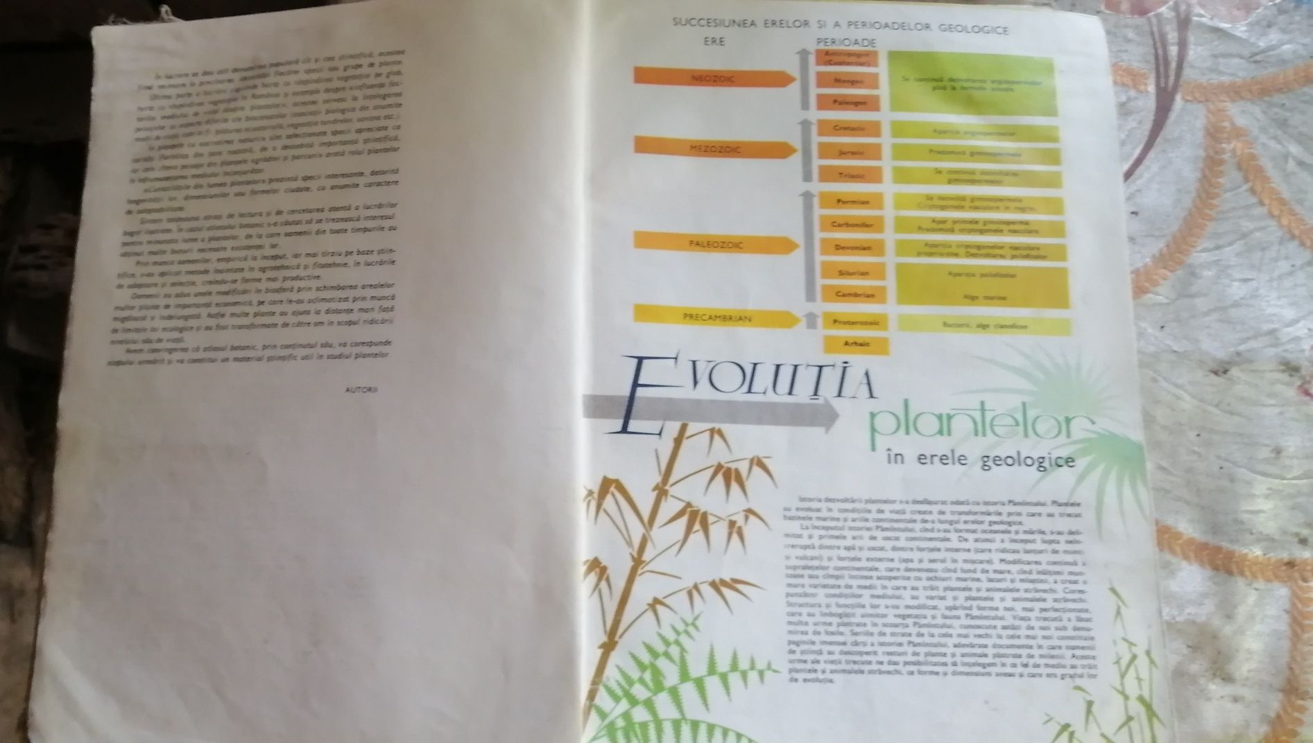Atlas botanic. Editura didactică și pedagogică BUCUREȘTI 1985