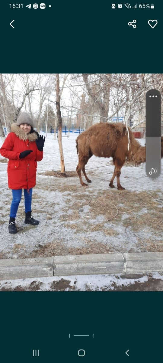 Продаю верхнюю женскую одежду